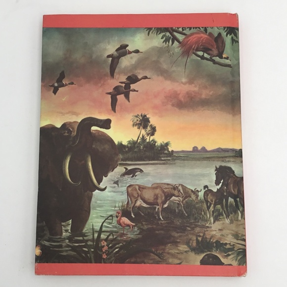 Vintage 1974 Book Wonders of Nature Animals Birds Plants Insects Parents' Mag - Picture 8 of 8